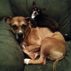 Photo of Jozie