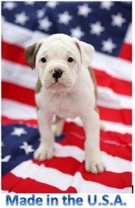 made_in_usa