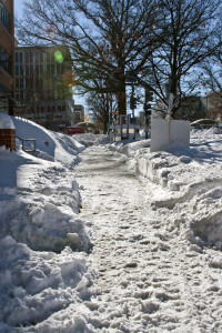 2016_01_24--Snow(5)